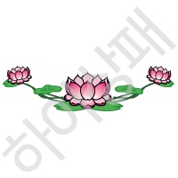 연꽃-1