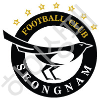 성남fc