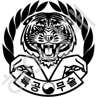 대한특공무술협회