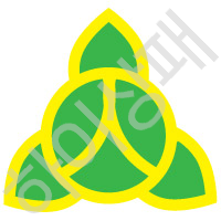 안심중학교(대구)