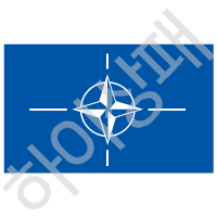 북대서양조약기구