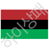 아프로아메리칸